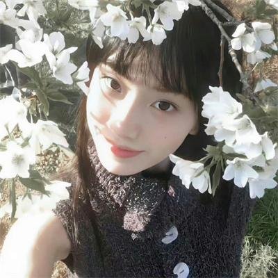 29片棕榈叶